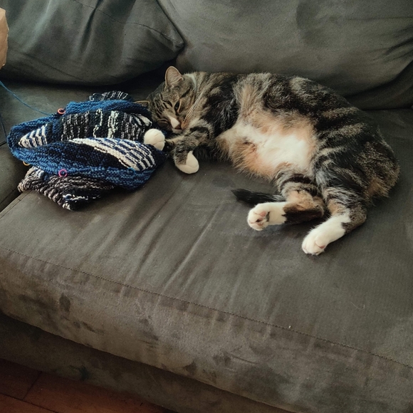 Meet your Posher, Maggie - Picture 15 of 16